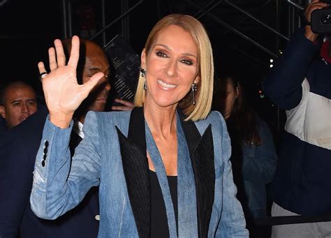 celine net worth 2019|did Celine dion retire.